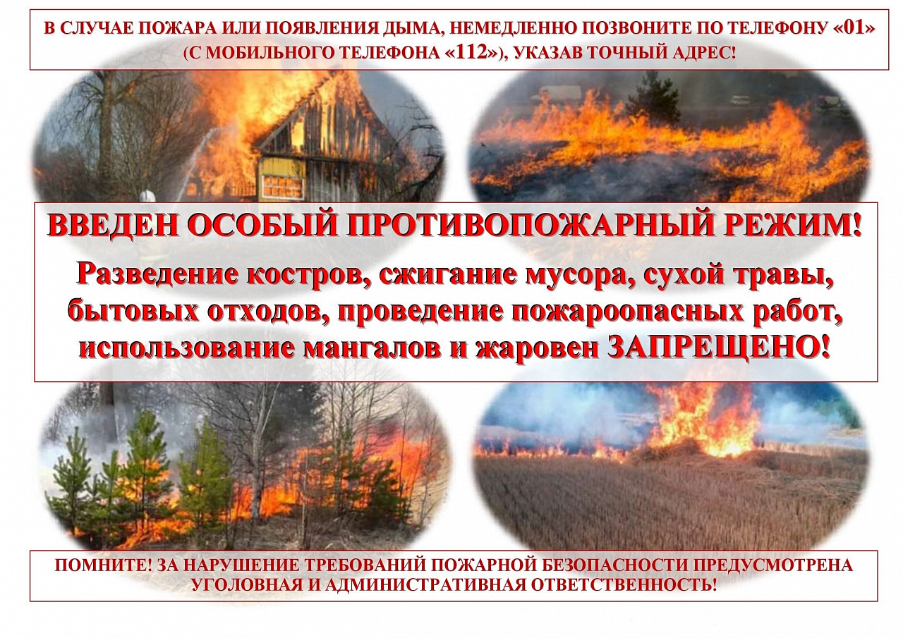 Особый противопожарный режим вводится на территории Алтайского края.