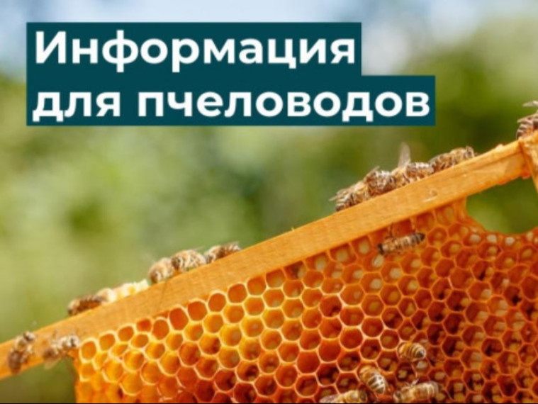 ПАМЯТКА ПЧЕЛОВОДАМ И РАСТЕНИЕВОДАМ.