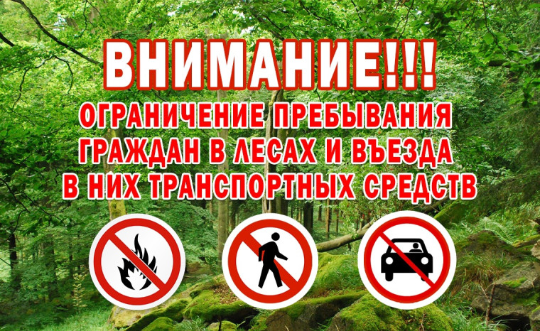 Ограничение пребывания граждан в лесах и въезда в них транспортных средств в виде запрета посещения лесов.