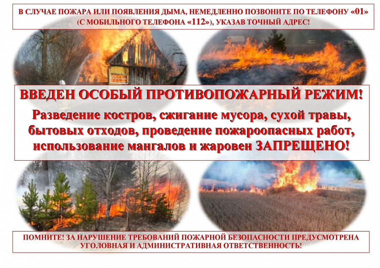 Особый противопожарный режим вводится на территории Алтайского края.